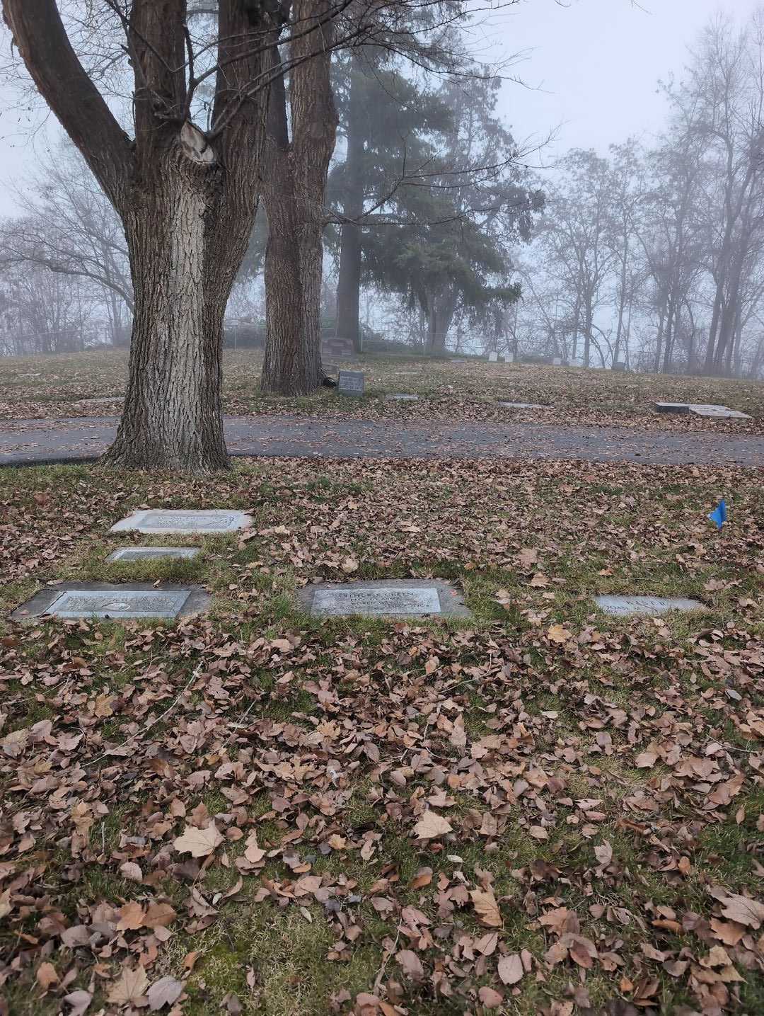 Arthur F. Green's grave. Photo 2