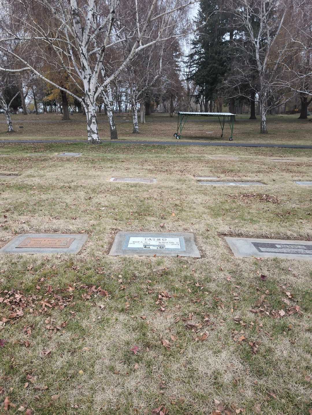 Rhea G. Tatro's grave. Photo 2