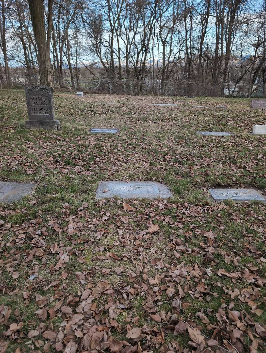 Emily Henderson Hively's grave. Photo 2