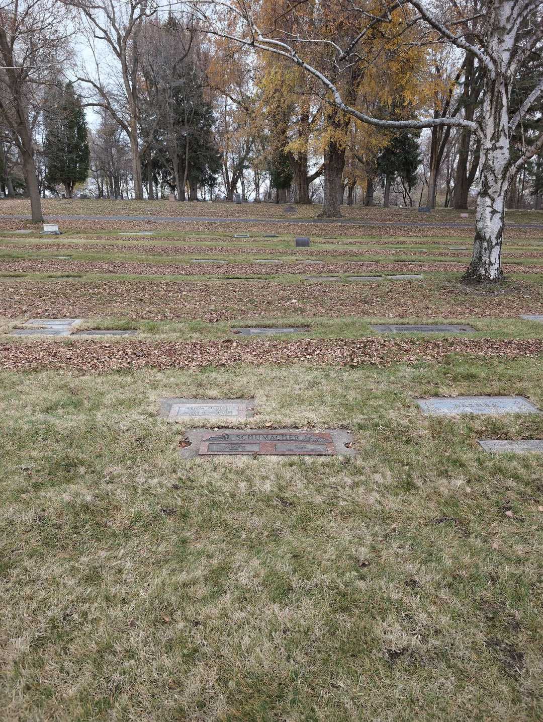 Leona Zickuhr's grave. Photo 2