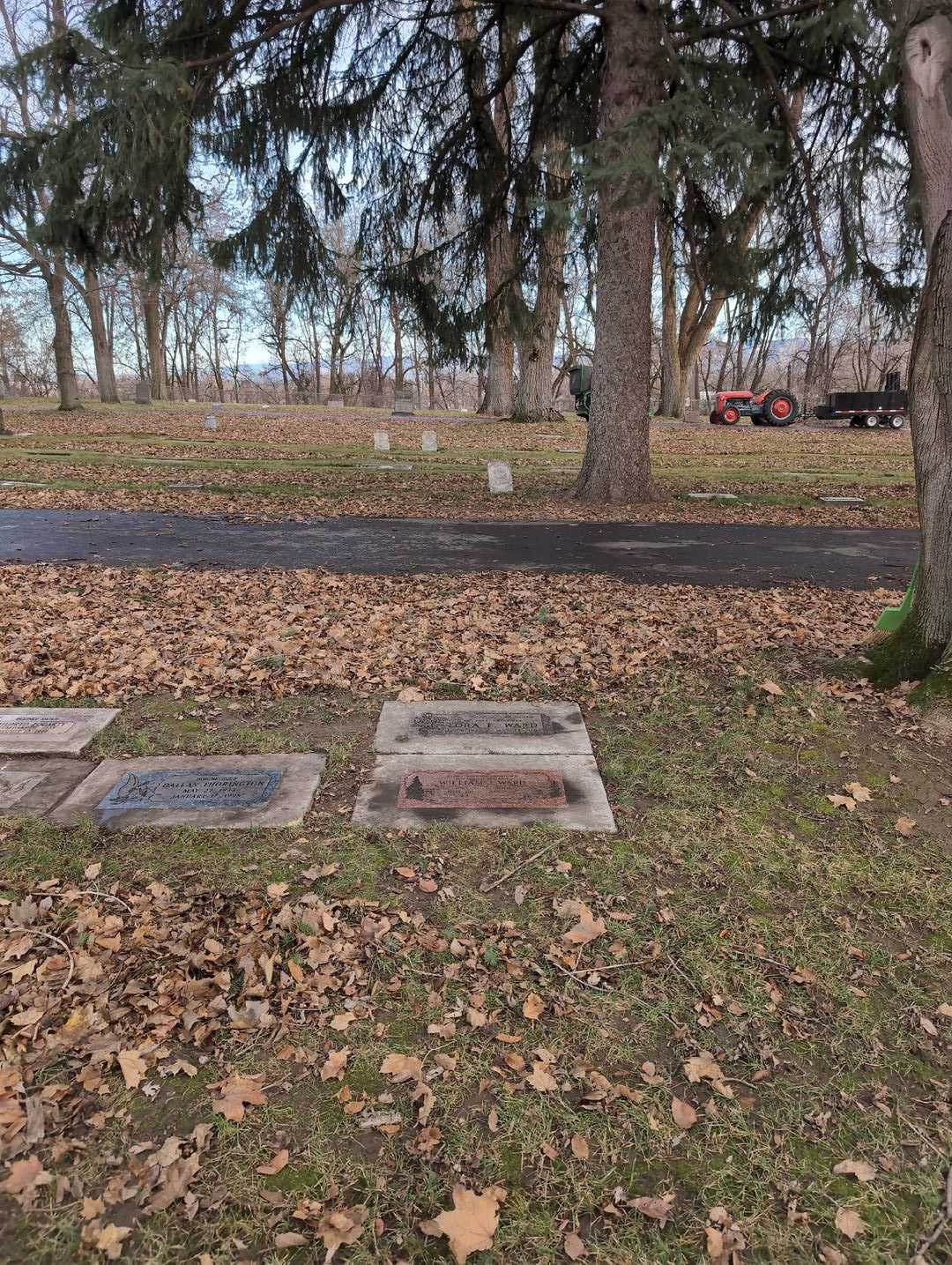 William J. Ward's grave. Photo 4