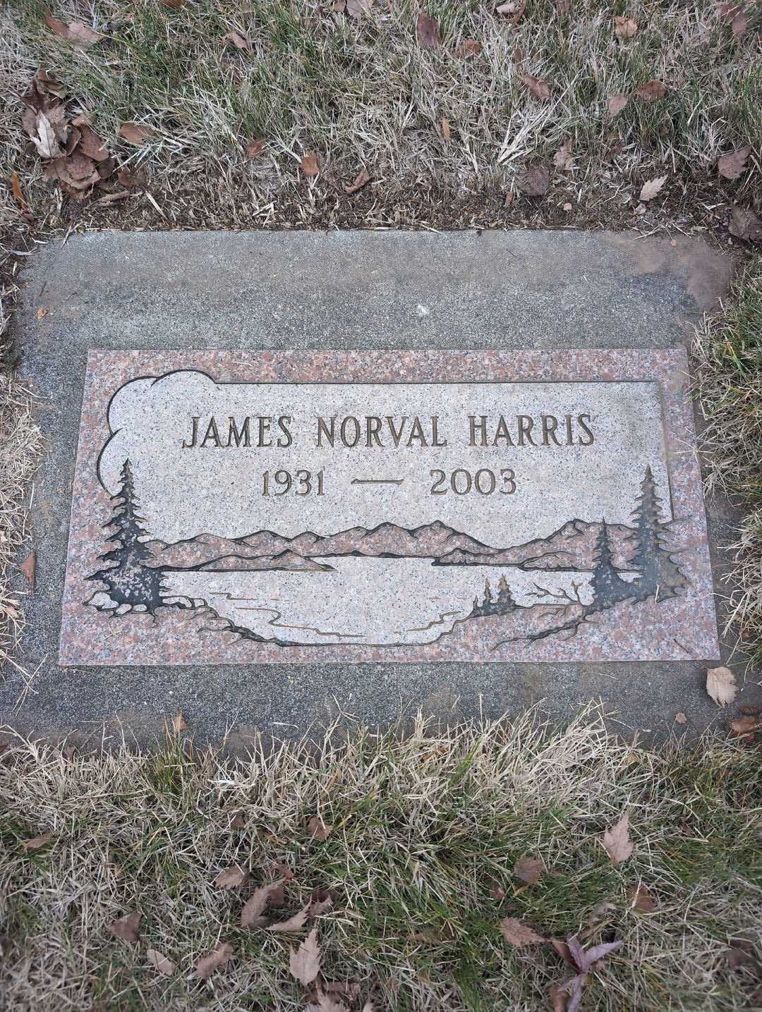 James Norval Harris's grave. Photo 3