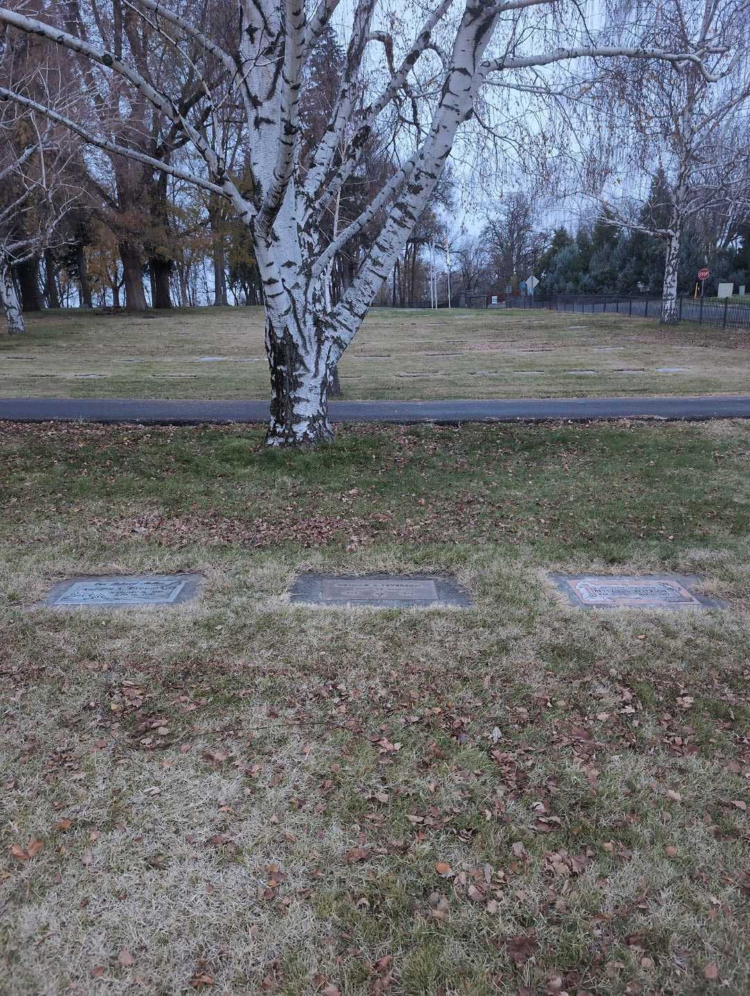 Ronald L. Peterson's grave. Photo 2