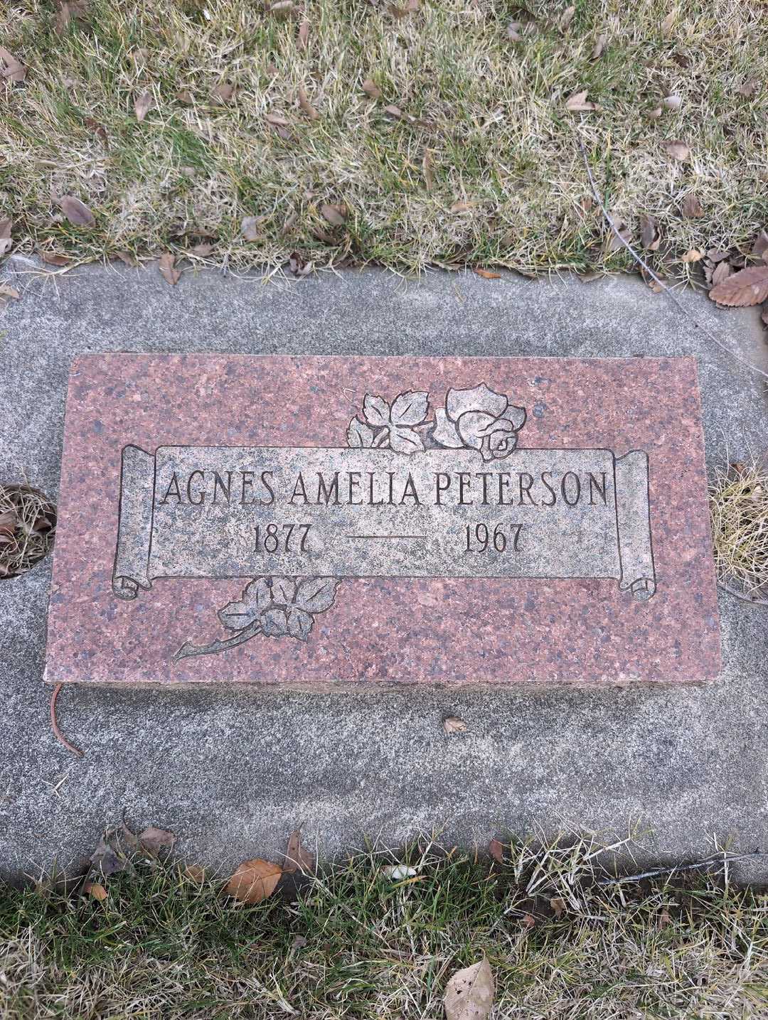 Agnes Amelia Peterson's grave. Photo 3