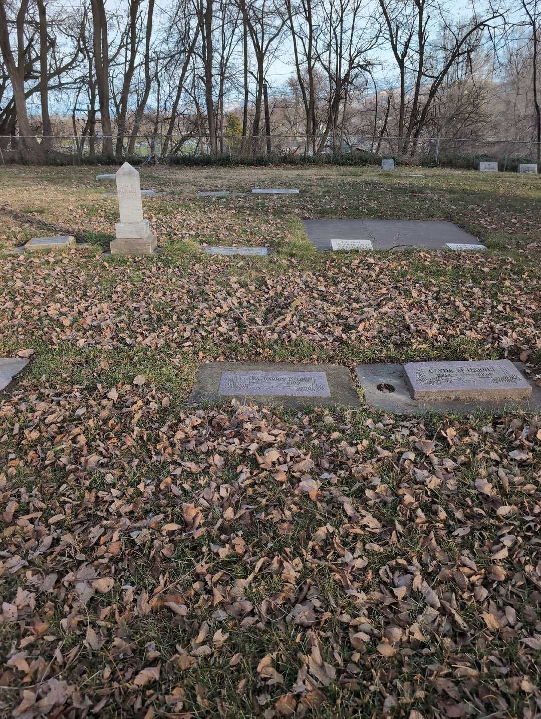 Clara Harris Gelow's grave. Photo 2