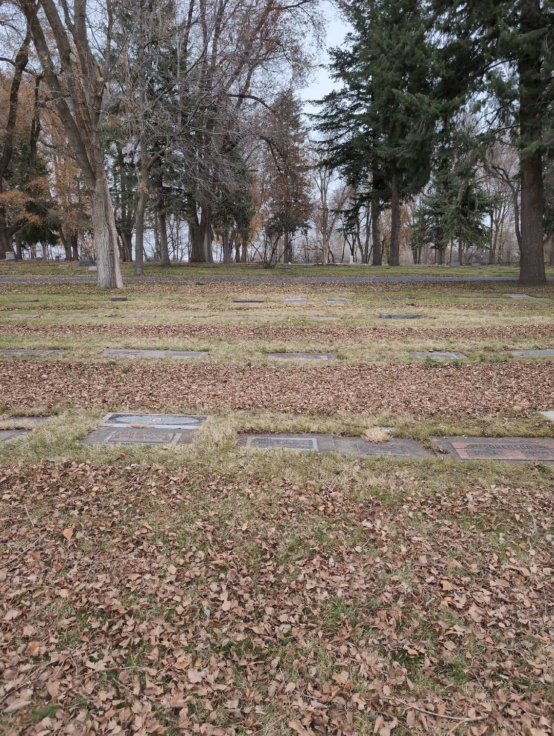 Minnie G. Dammrose's grave. Photo 2