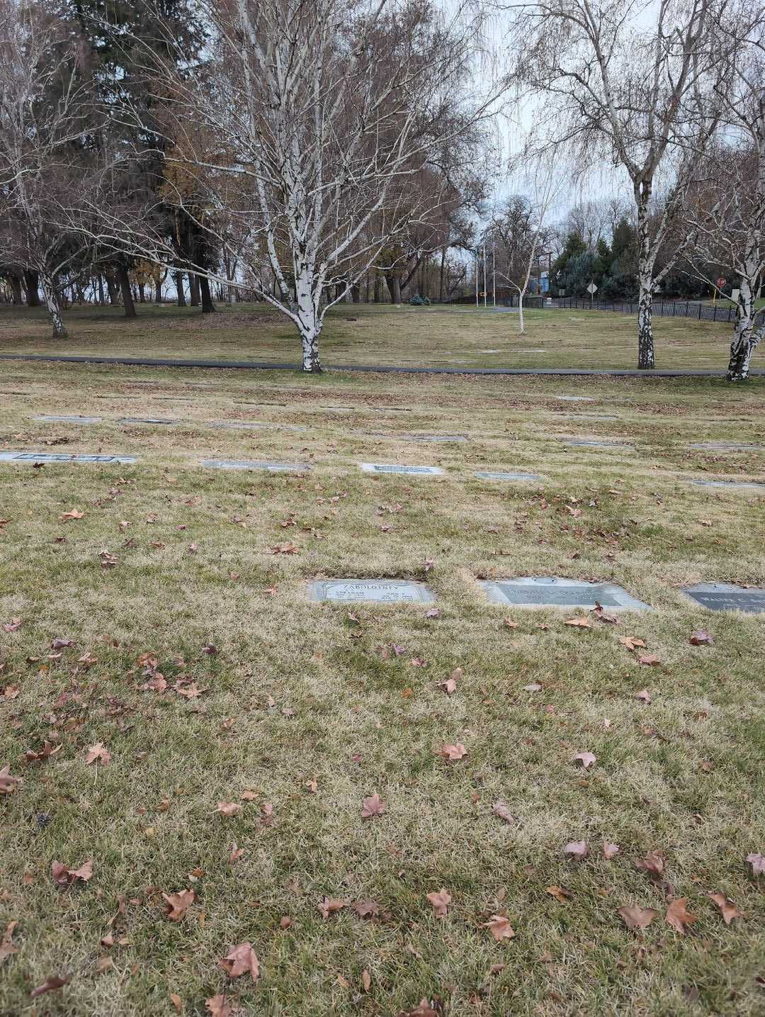 Ann E. Zabolotney's grave. Photo 2