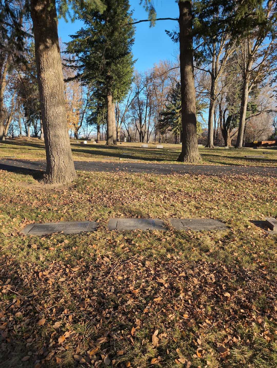 Robert Linden Bechtel's grave. Photo 2