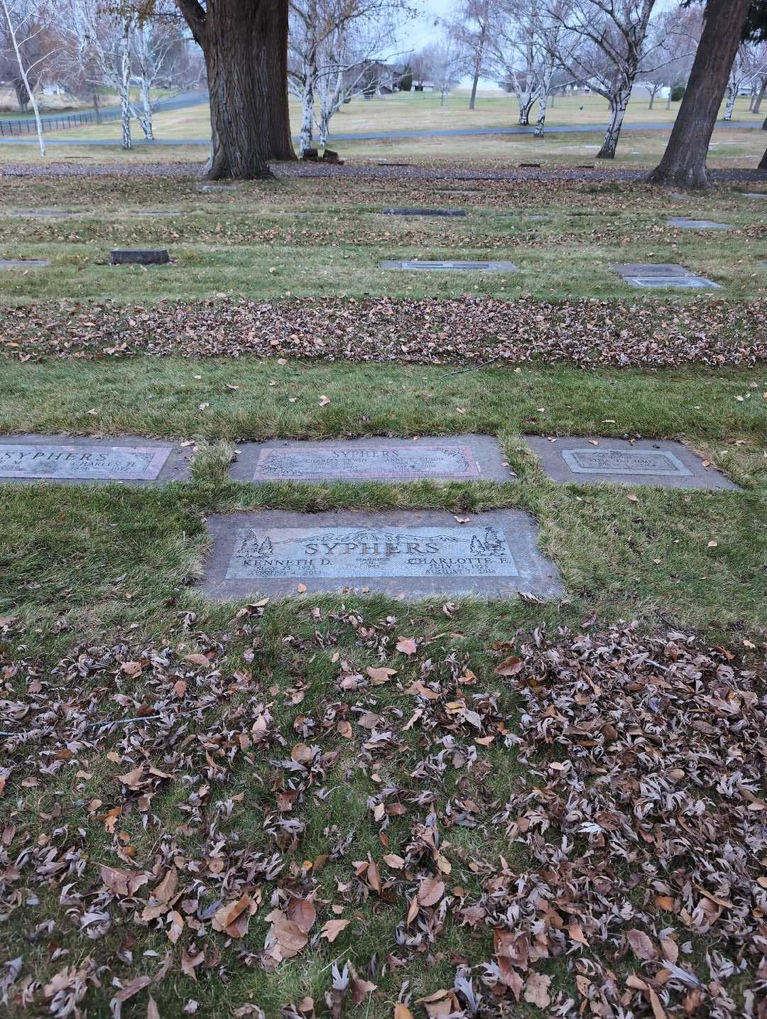 Anne E. Olson Syphers's grave. Photo 4