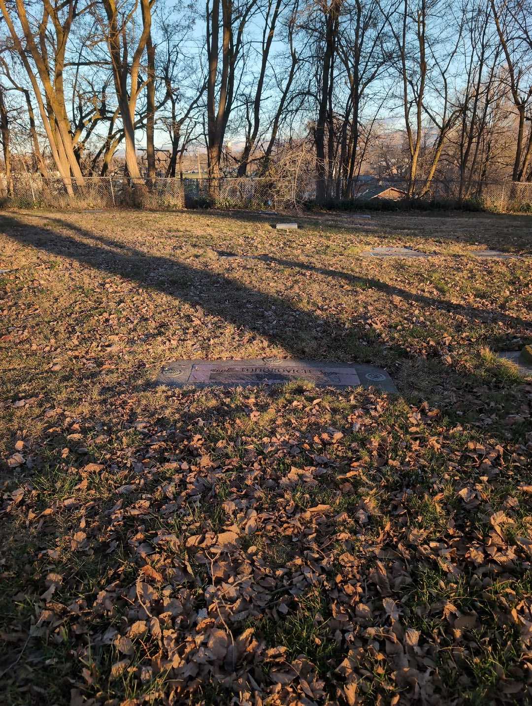Nicola "Nick" Todorovich's grave. Photo 2