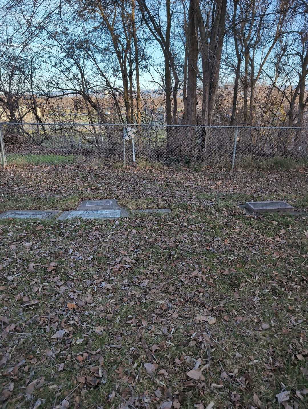 Emma Johnson's grave. Photo 2