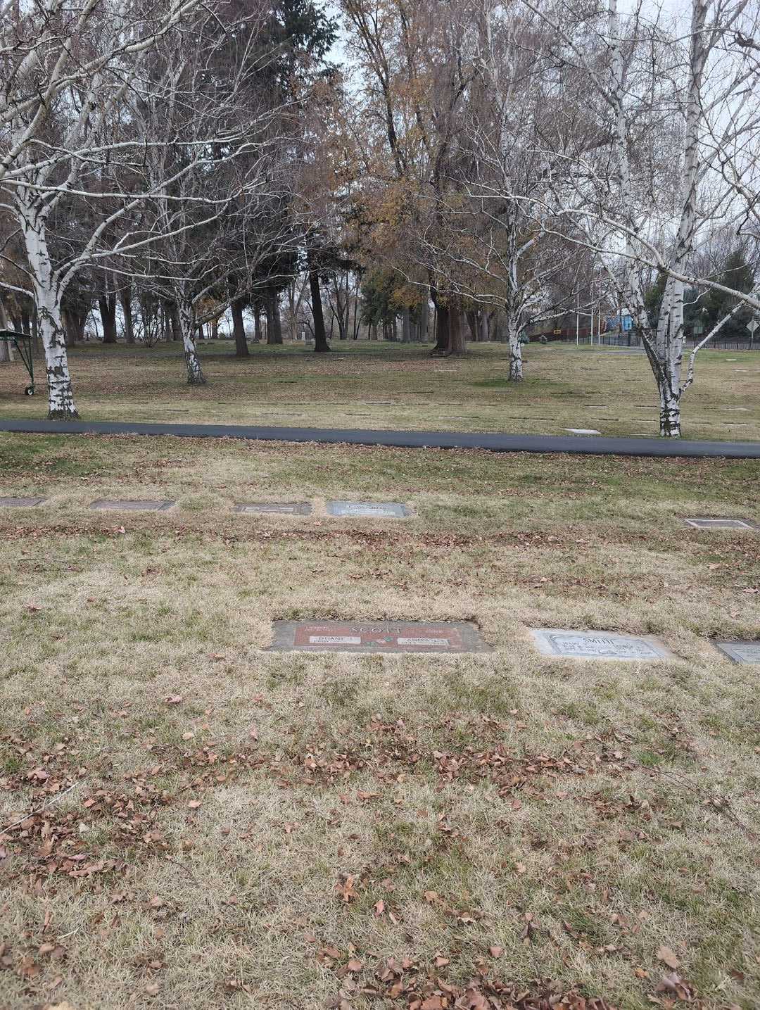 Anita L. Scott's grave. Photo 2