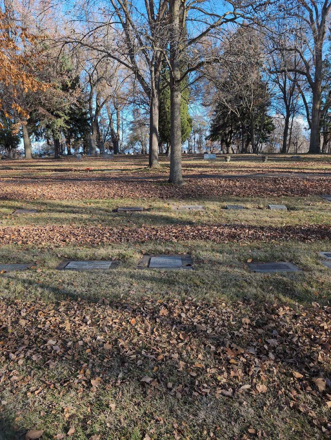 Wiliam E. Parsons Senior's grave. Photo 2