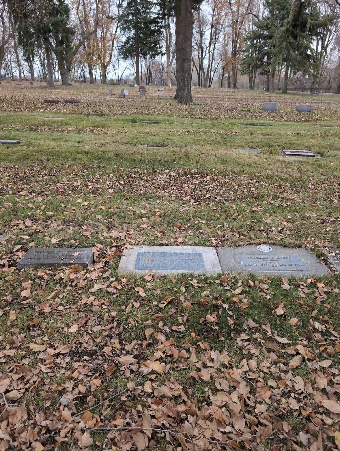 Etta Comeal Scott Farris's grave. Photo 2