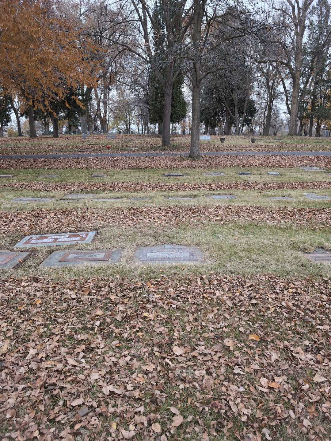 Marla Lee Rasmussen's grave. Photo 2