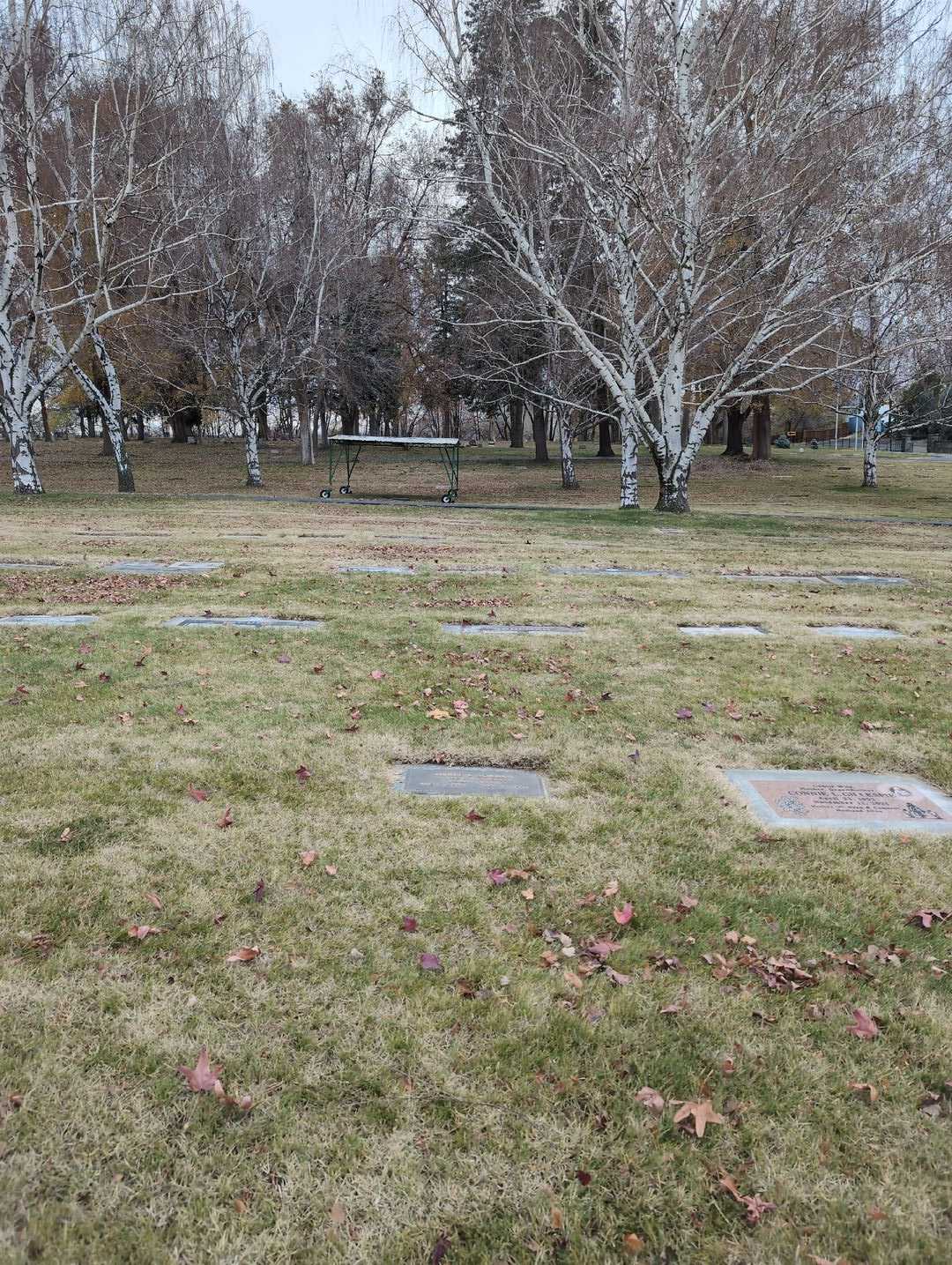 Merle L. Jordan's grave. Photo 2