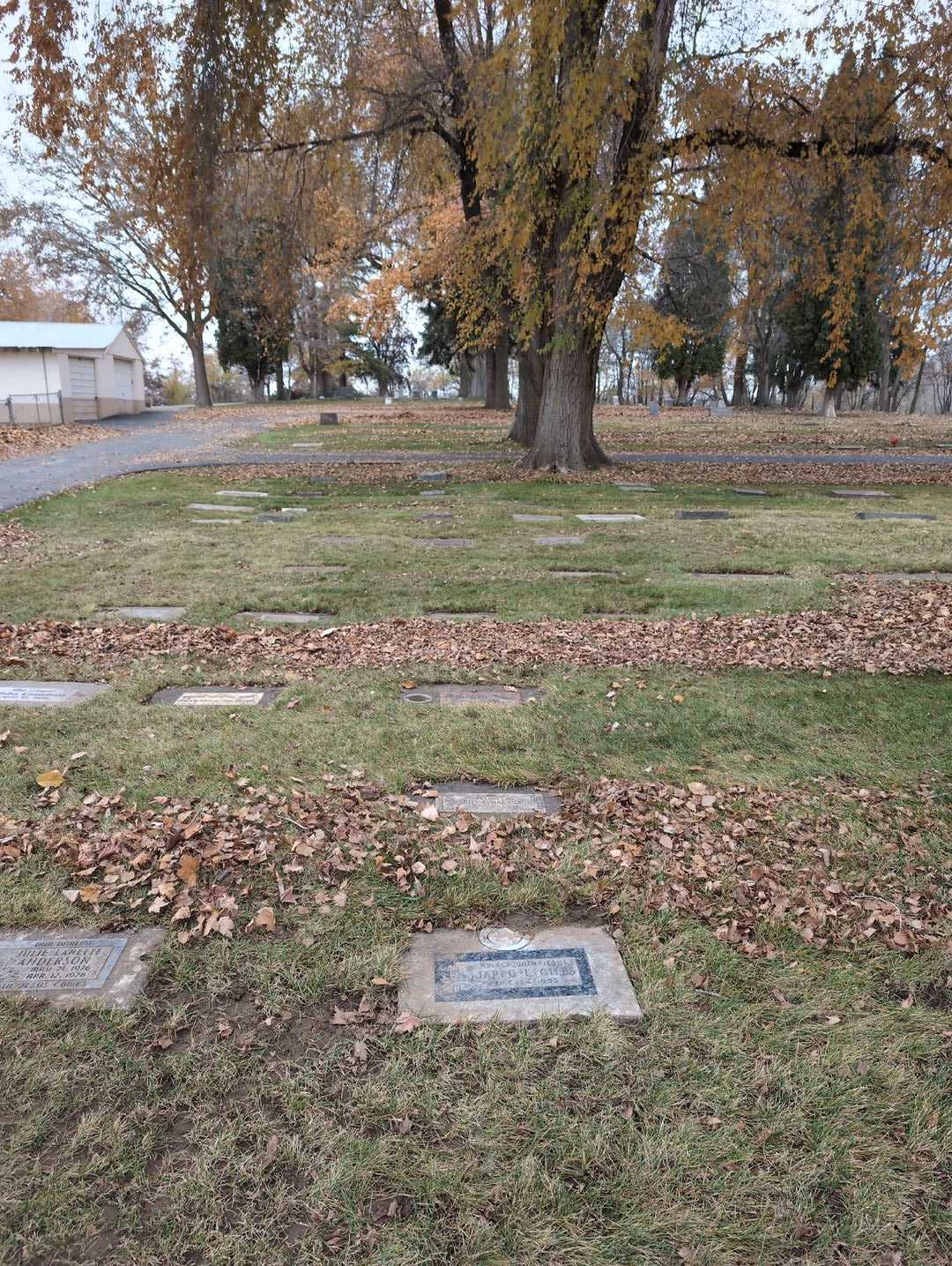 Jeri Lynne Sloan's grave. Photo 2