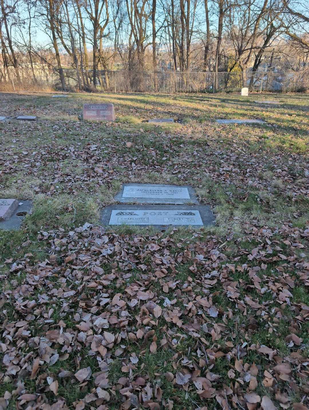 Jacquelynn A. Kelly's grave. Photo 2