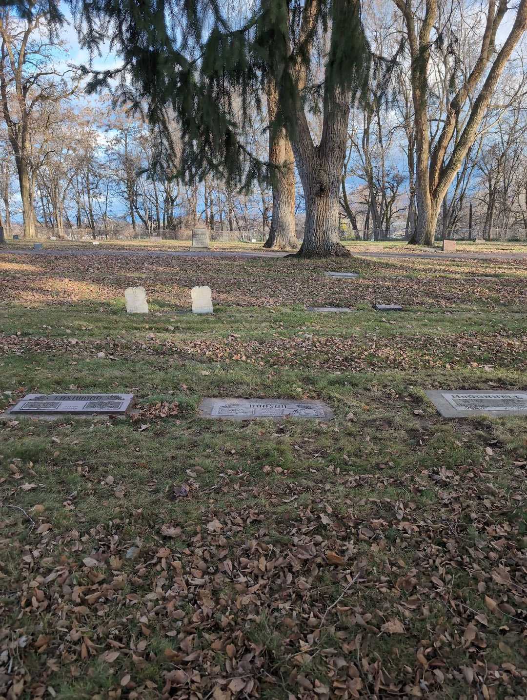Fred R. Hanson's grave. Photo 2