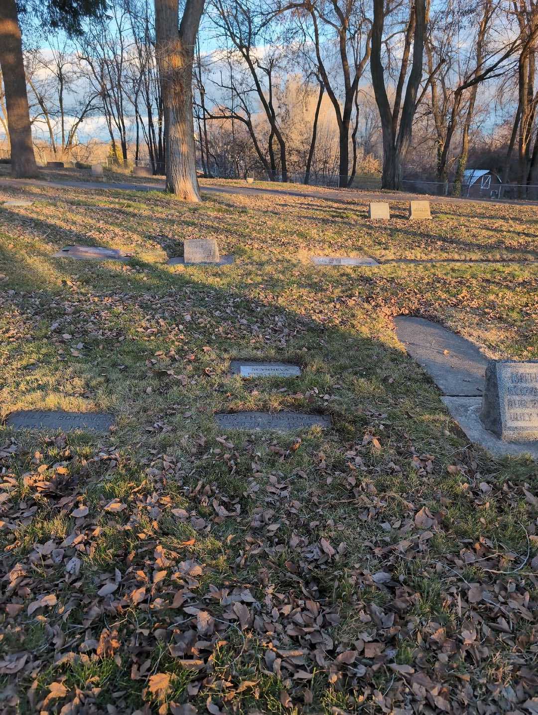 Scynneva Hulse's grave. Photo 2