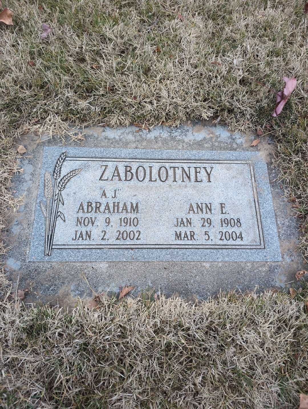 Ann E. Zabolotney's grave. Photo 1