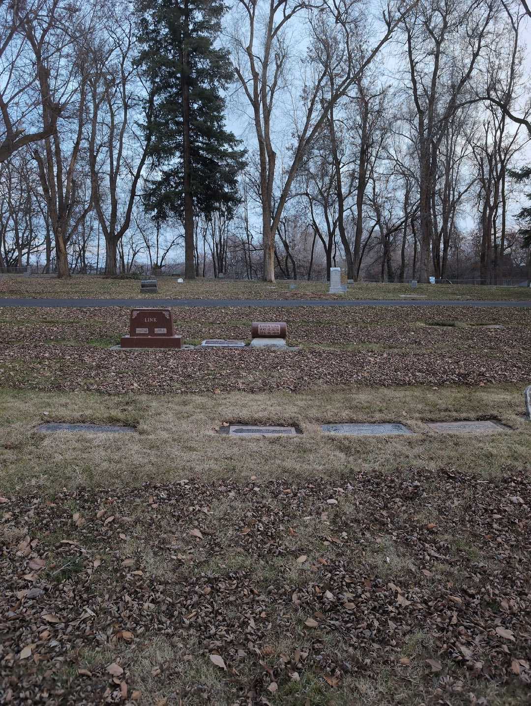 Hester O. Moore's grave. Photo 2