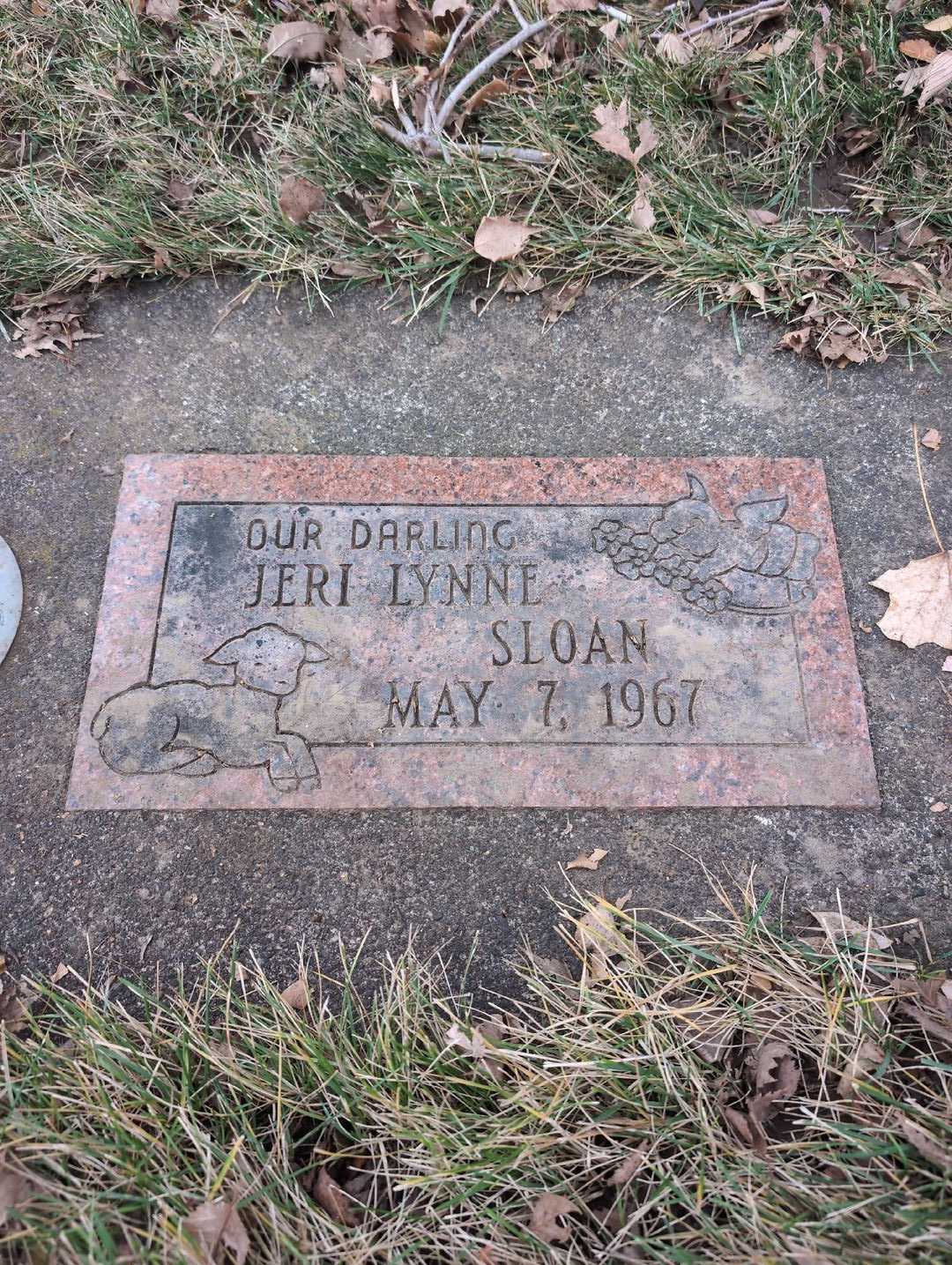 Jeri Lynne Sloan's grave. Photo 3