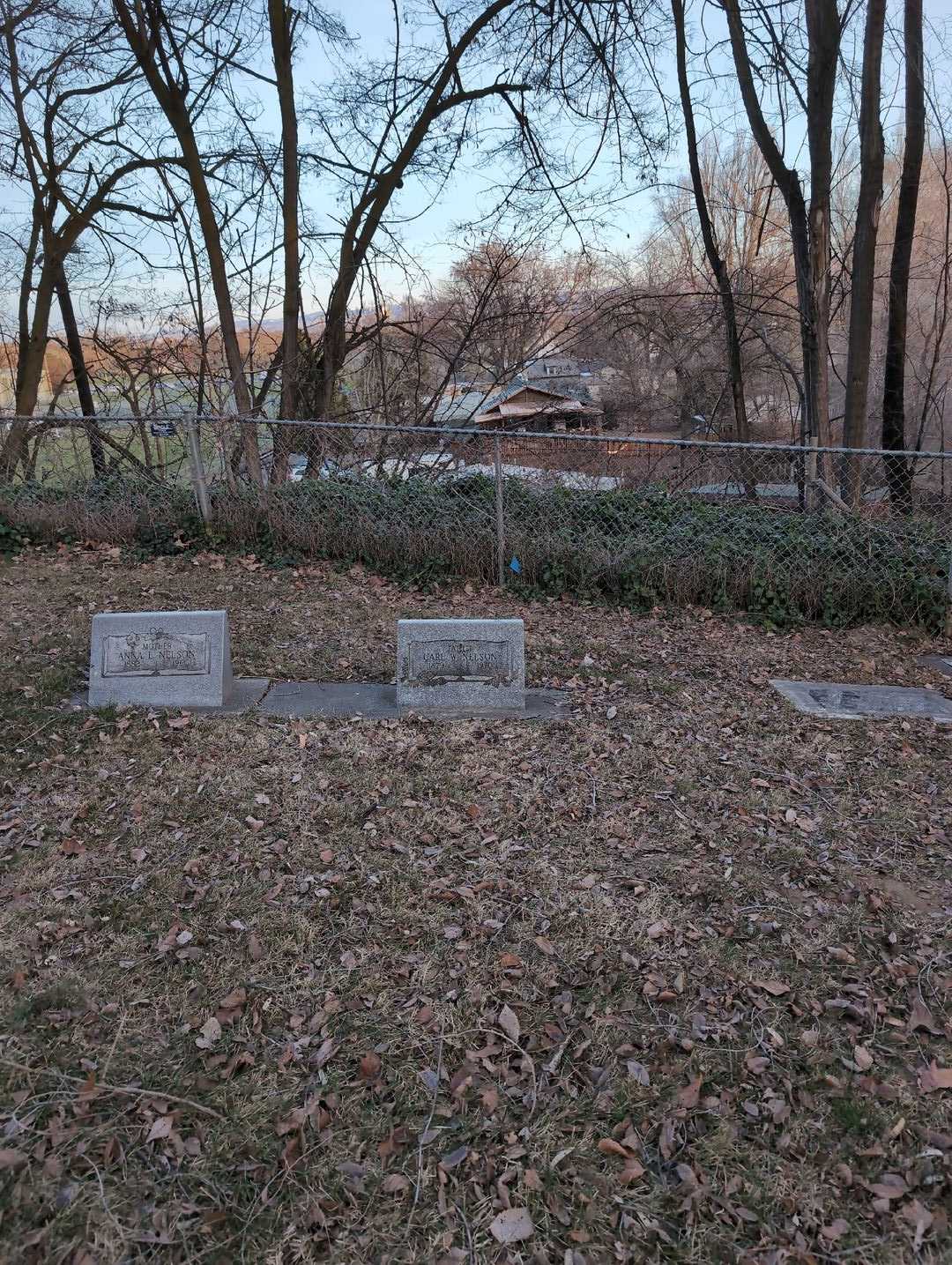 Carl W. Nelson's grave. Photo 2