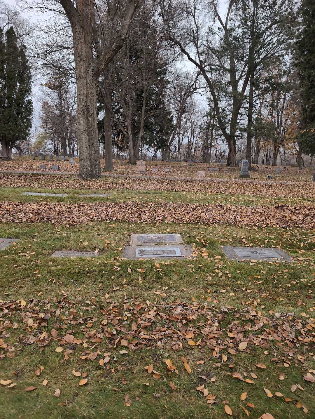 Aletha D. Lawson's grave. Photo 2