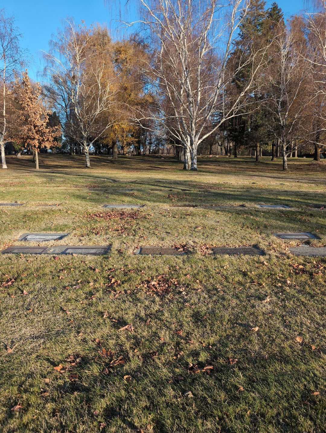 Irene P. Mitchell's grave. Photo 2