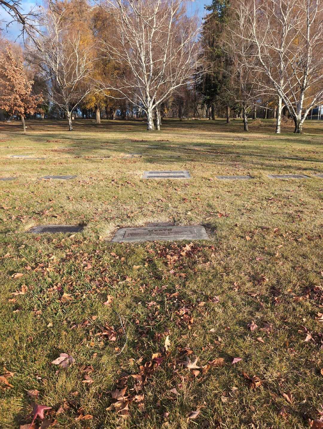 Frances L. Merth's grave. Photo 2