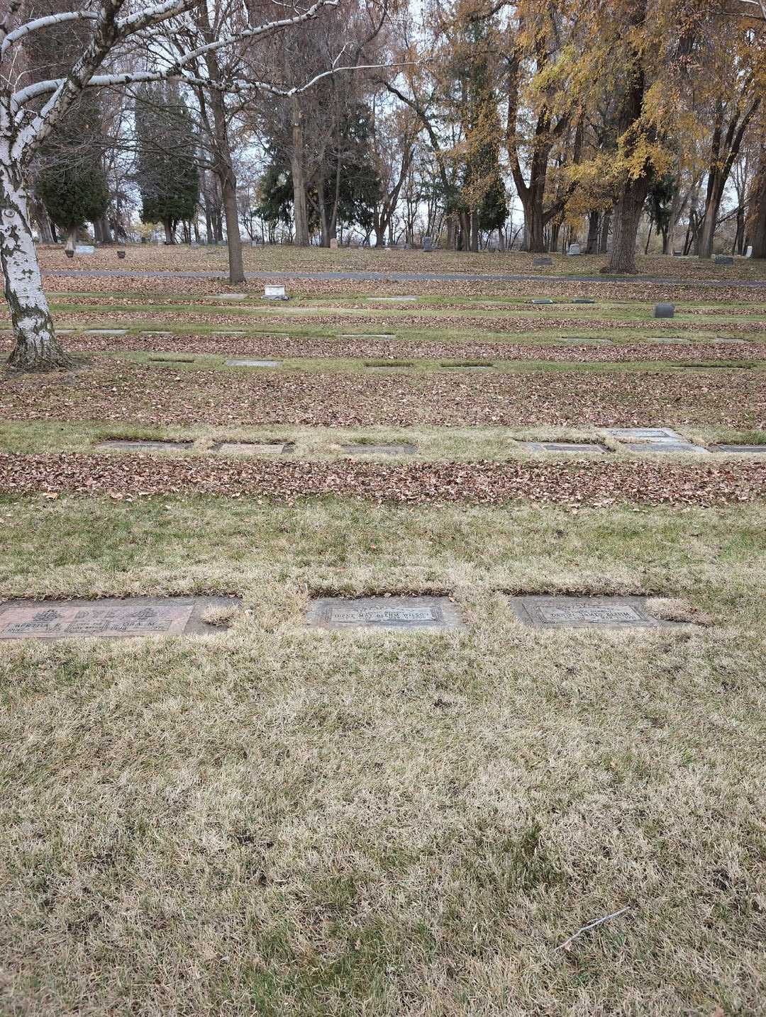 Irene May Blehm Wilson's grave. Photo 2