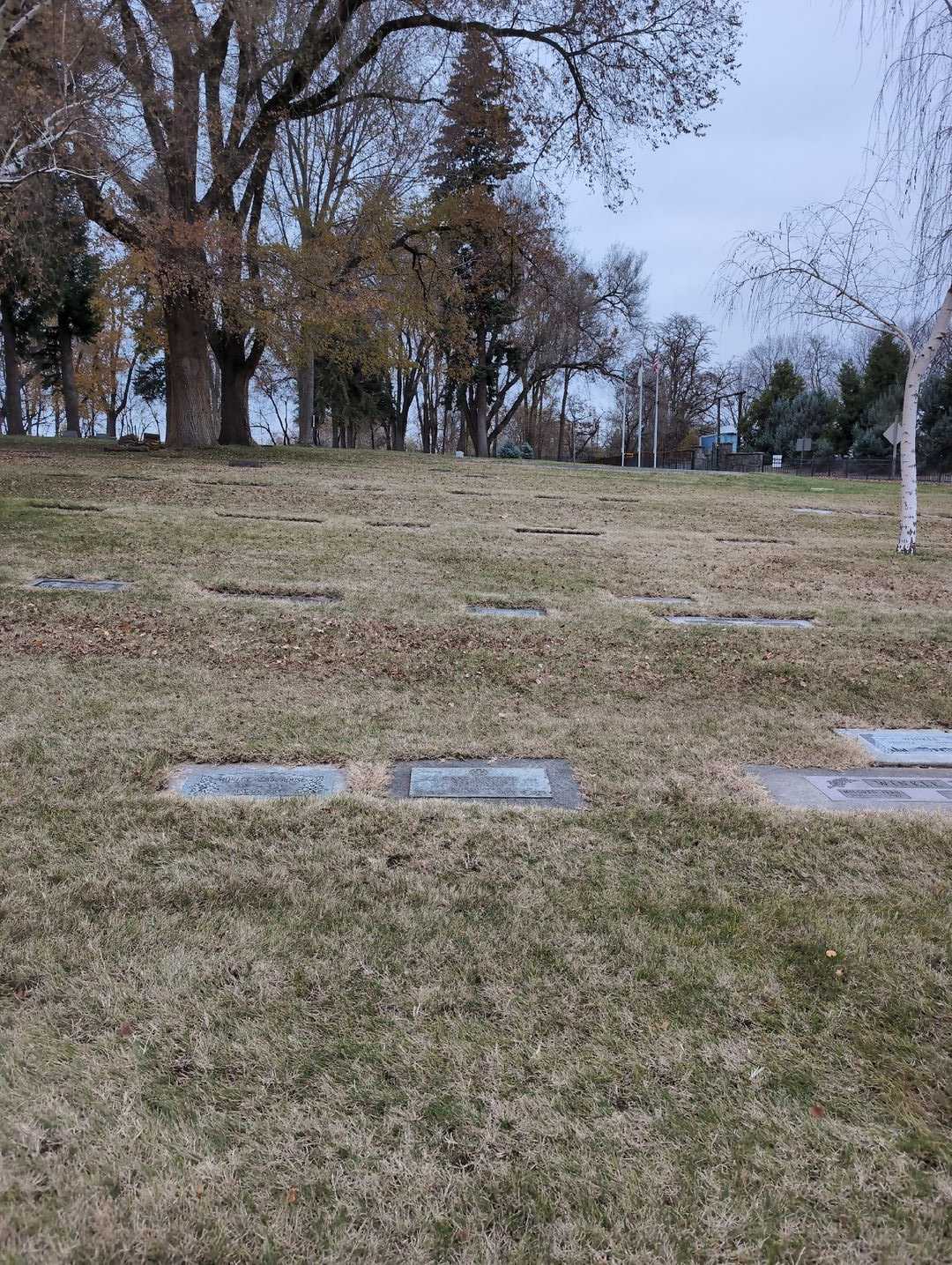 Carl E. Rouse's grave. Photo 2