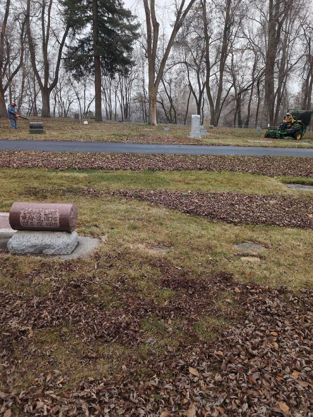Dorothy A. Donahey's grave. Photo 2