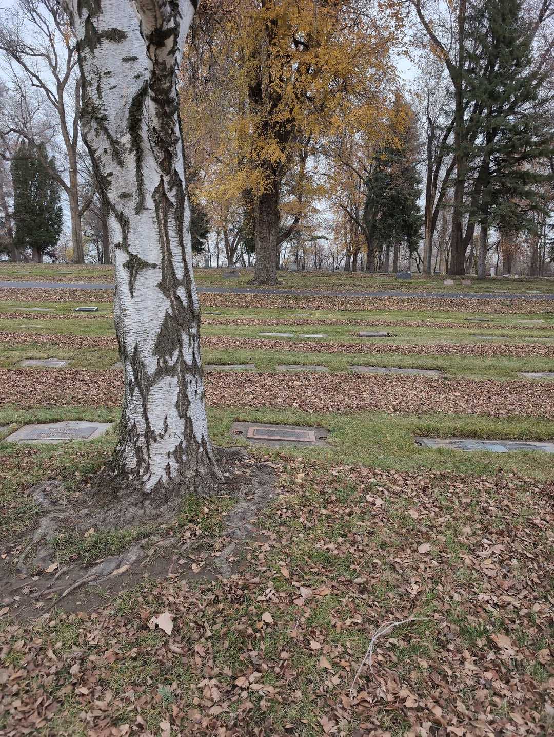 Alice G. Yeasley's grave. Photo 2