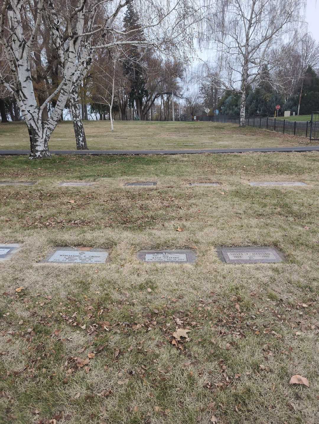 Katie Alexenko's grave. Photo 2