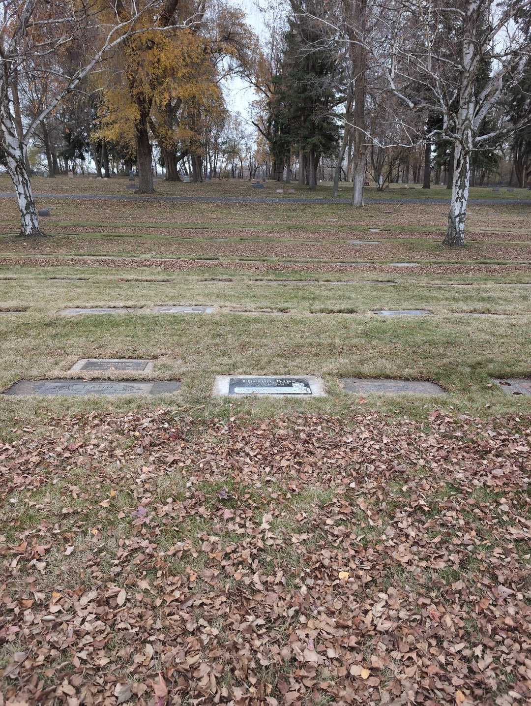 Theron King's grave. Photo 2