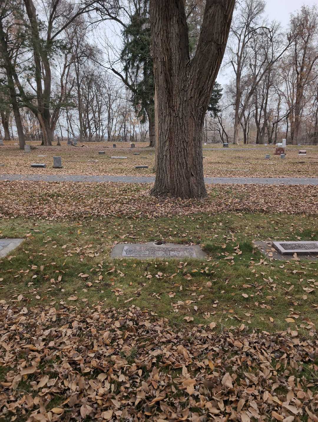 Paul D. Massey's grave. Photo 2