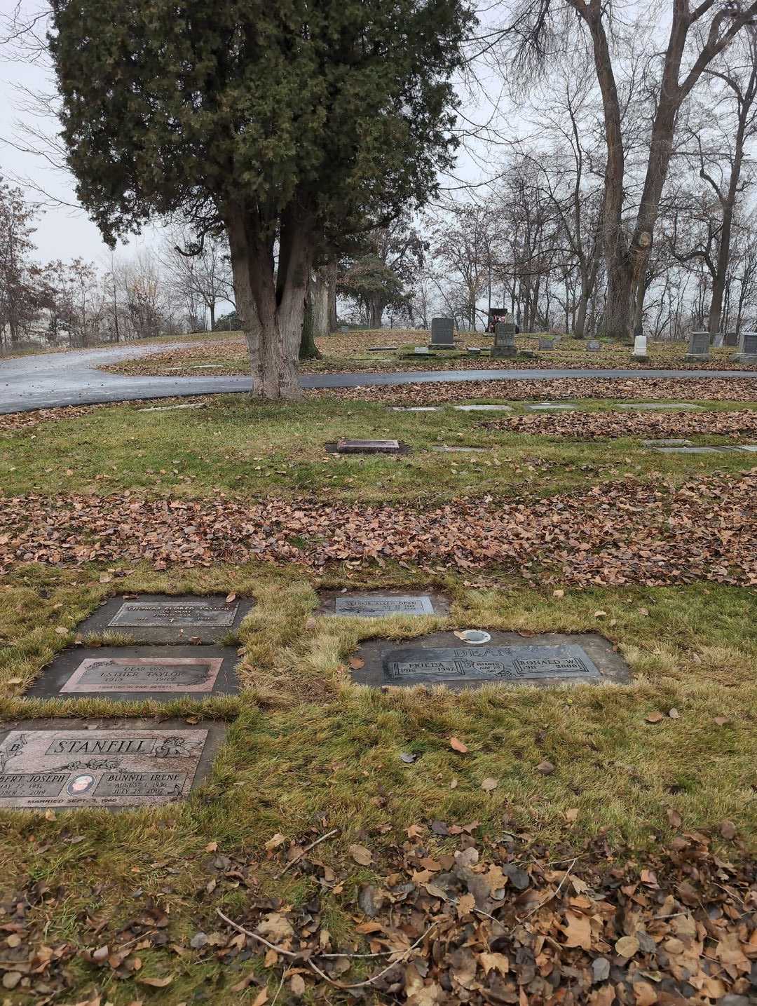 Esther Taylor's grave. Photo 3