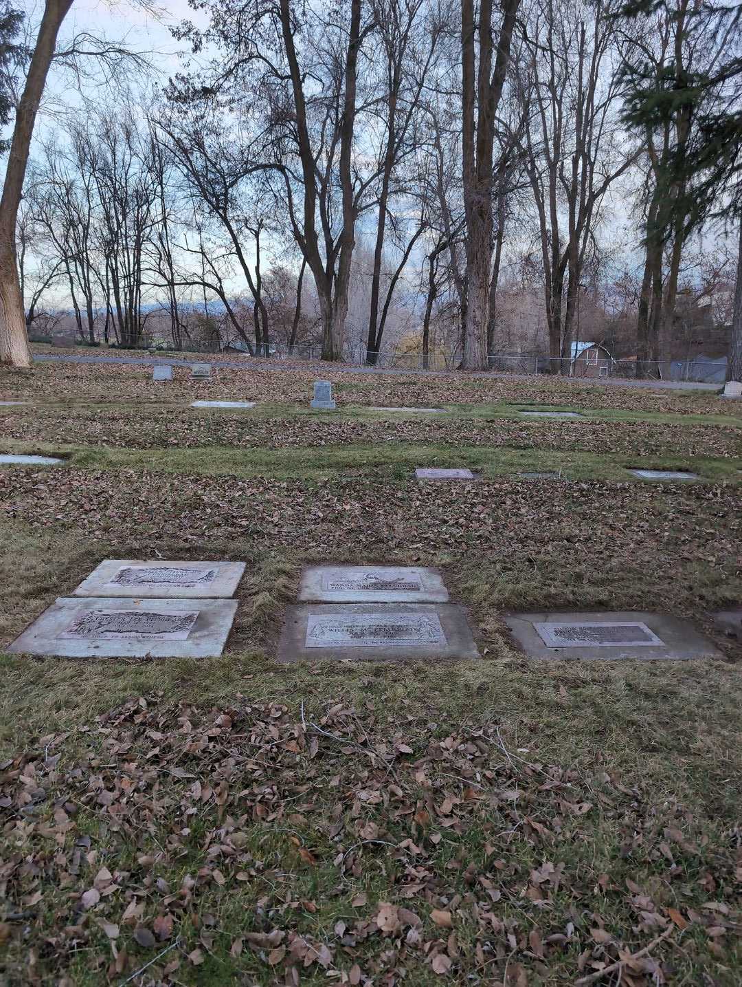 Willis M. Pflugrad's grave. Photo 4
