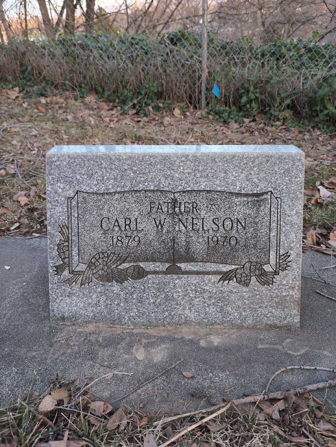 Carl W. Nelson's grave. Photo 3