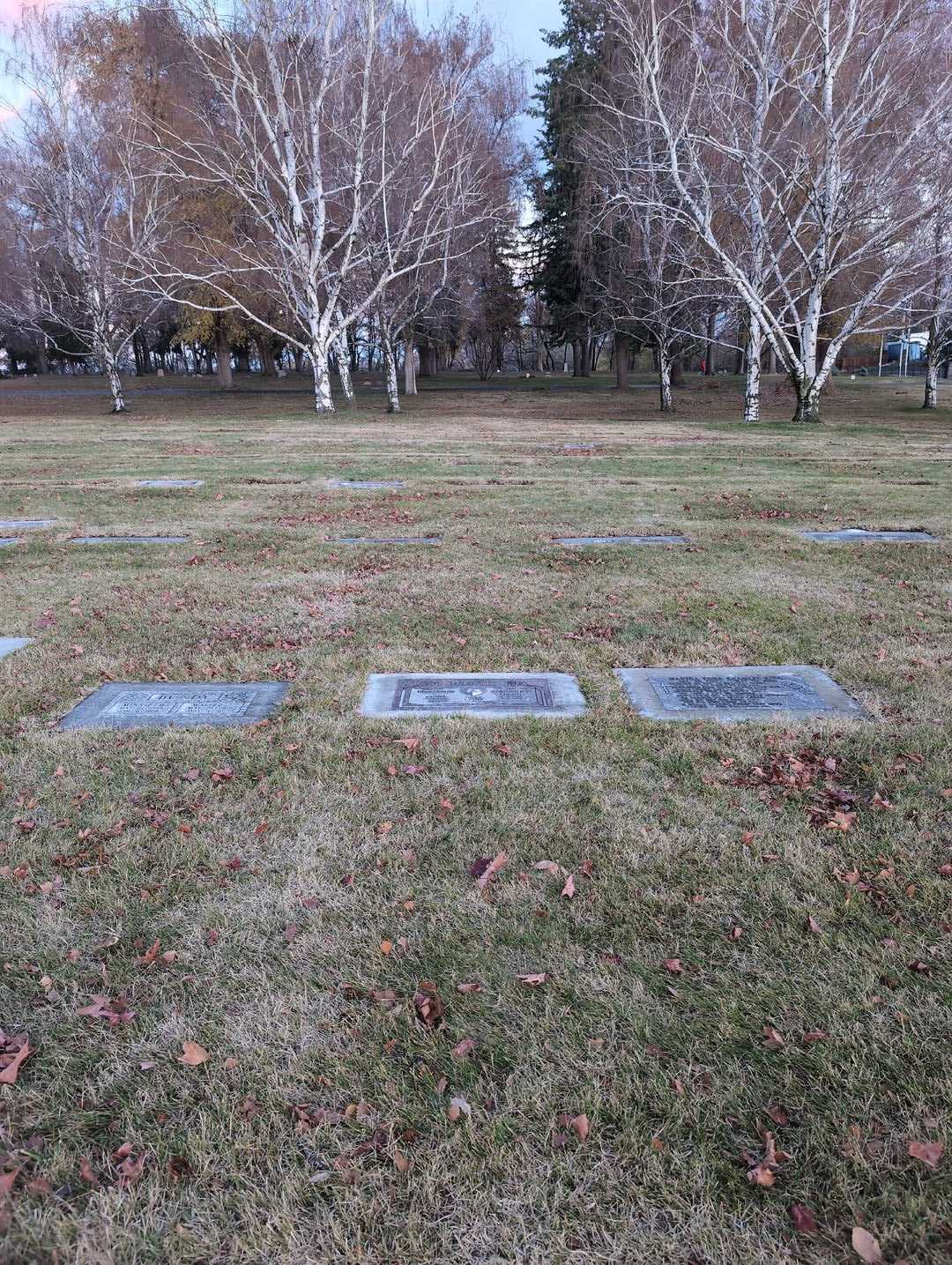 Jacquelyn Jean Faucher Beck's grave. Photo 2