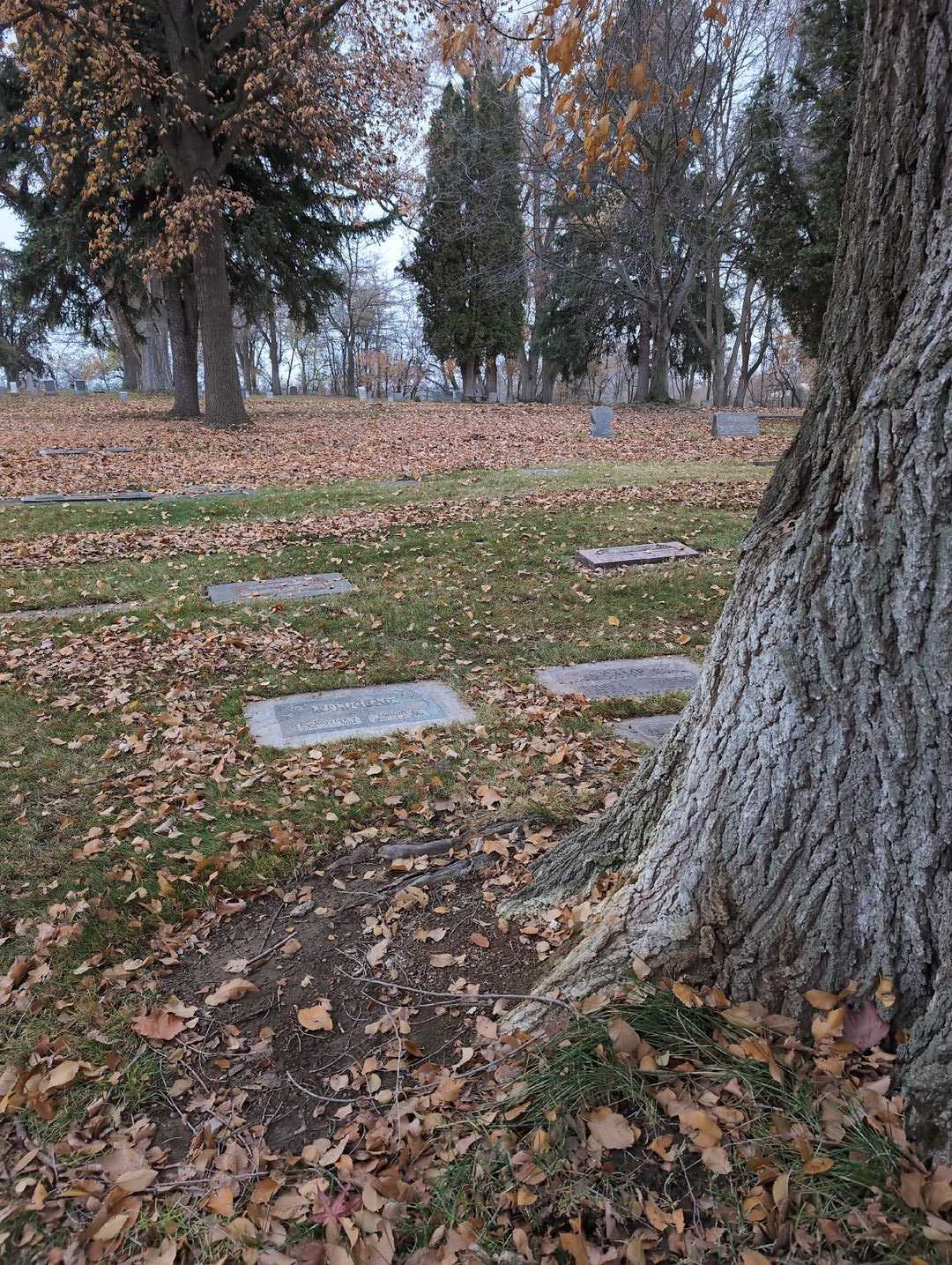 Dwight D. Pflugrad's grave. Photo 2