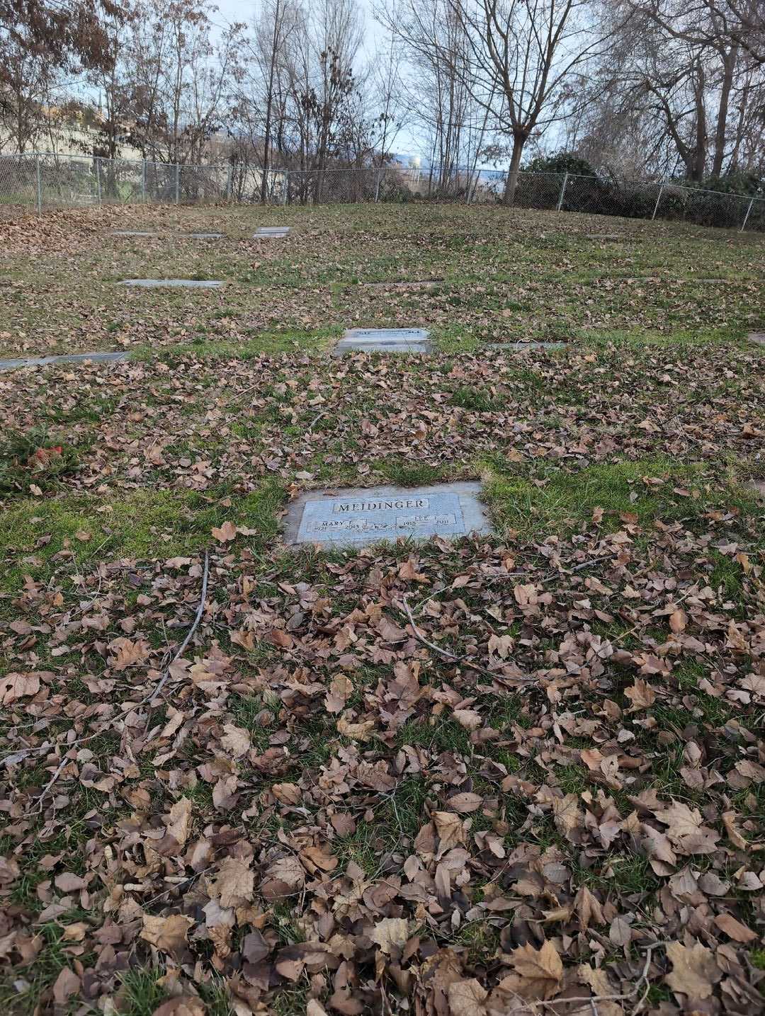 Lee J. Meidinger's grave. Photo 2