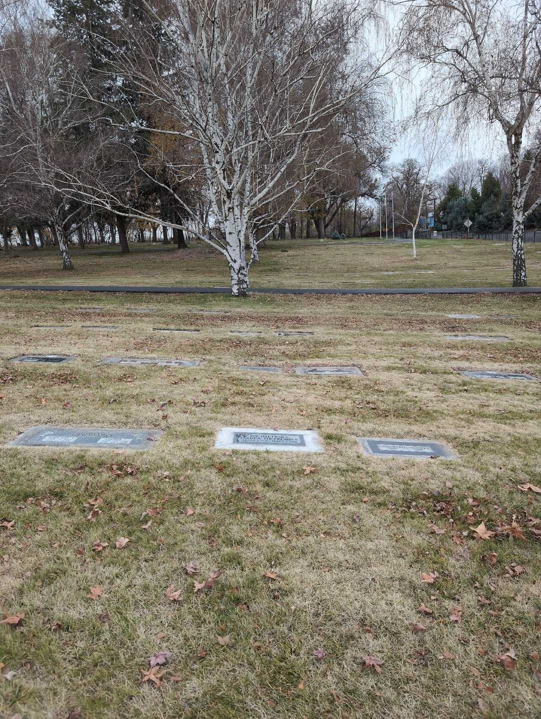 Olga Petrovna Lagutina Kuznecova's grave. Photo 2