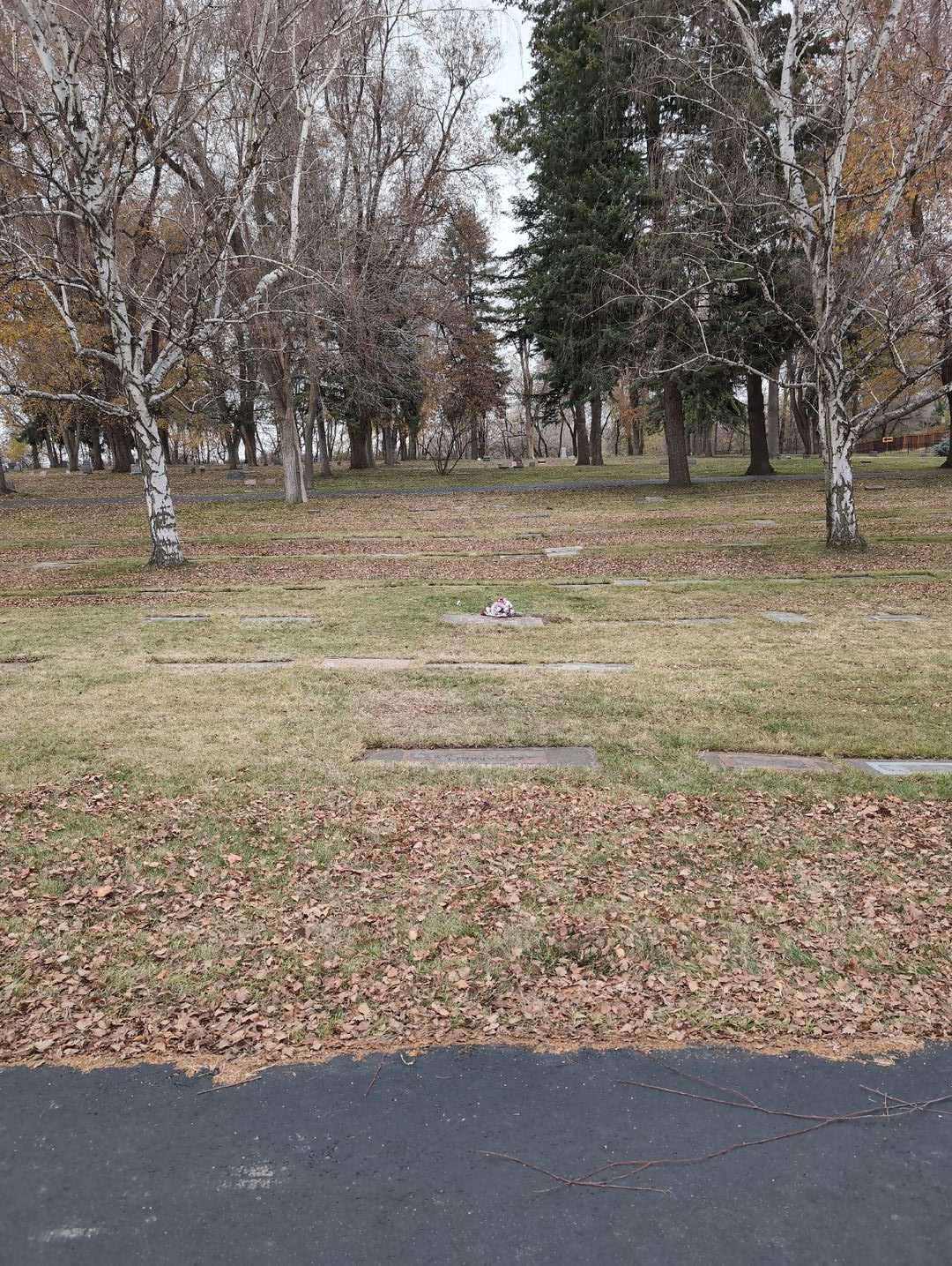 Cecil D. Garrett's grave. Photo 2