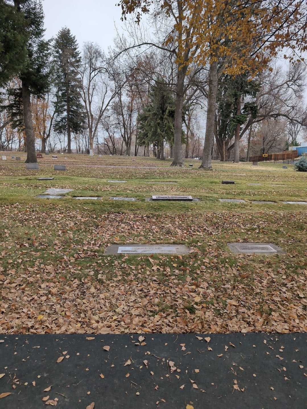 Maurice L. Dammrose's grave. Photo 2