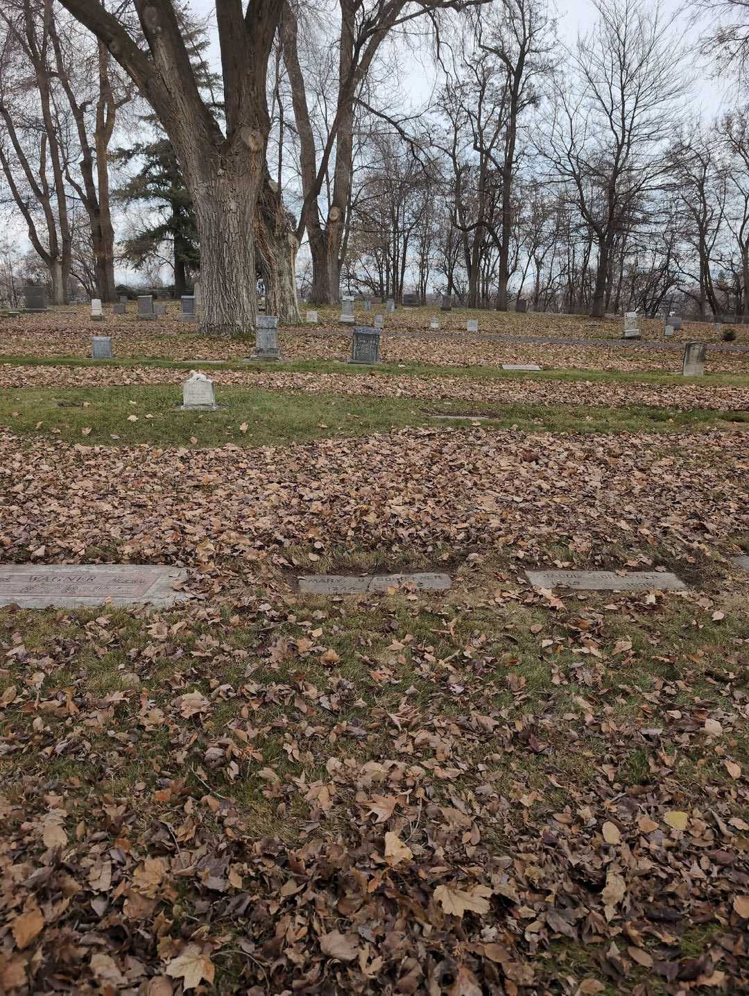 Ben R. Wagner's grave. Photo 4