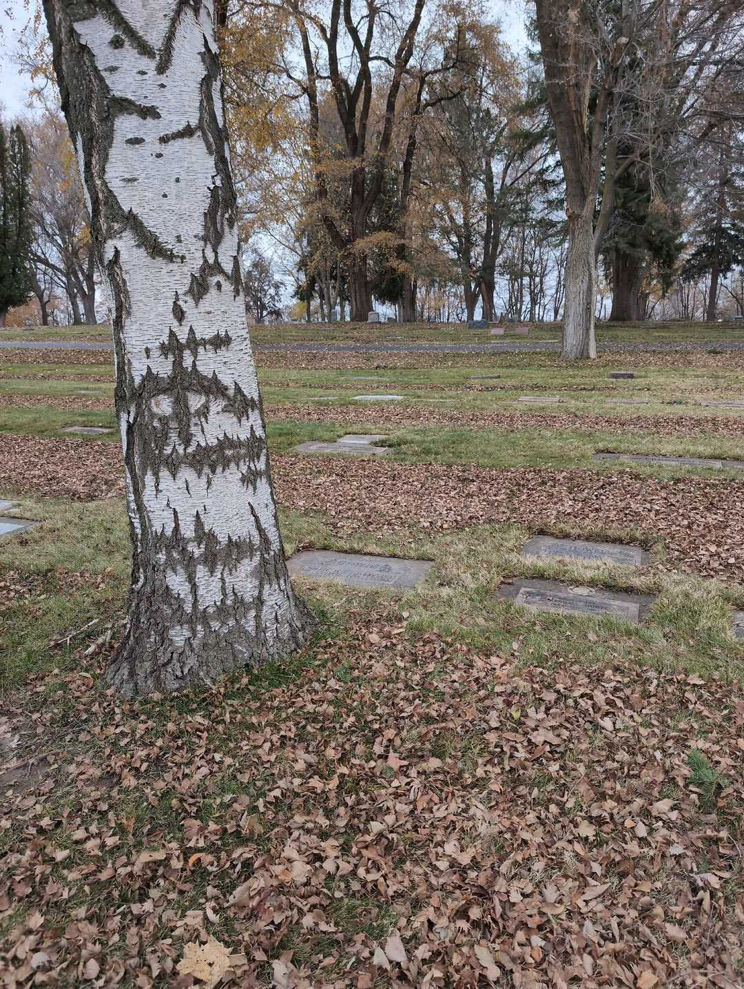 Darrell J. Cowin's grave. Photo 2