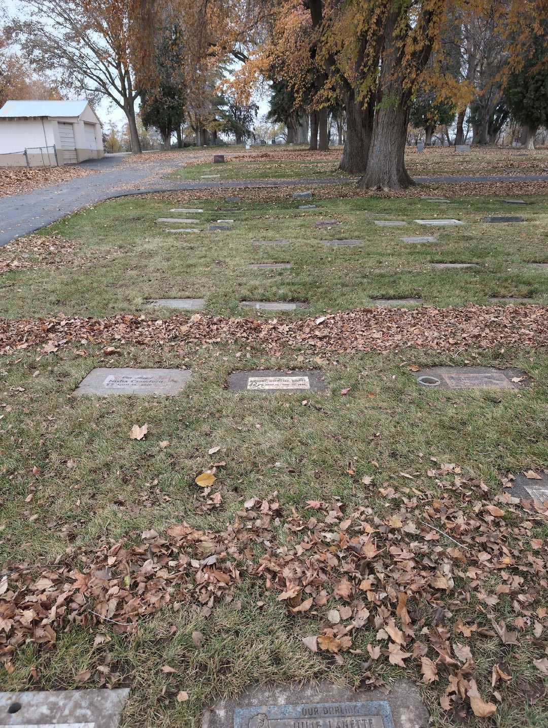 Brooke Michelle Biloff's grave. Photo 2